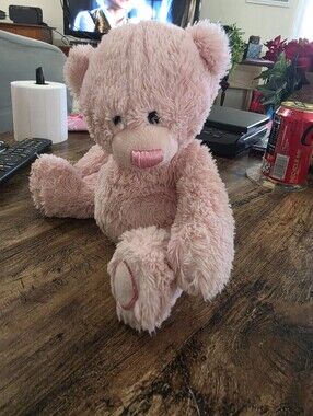 Pink Teddy Bear